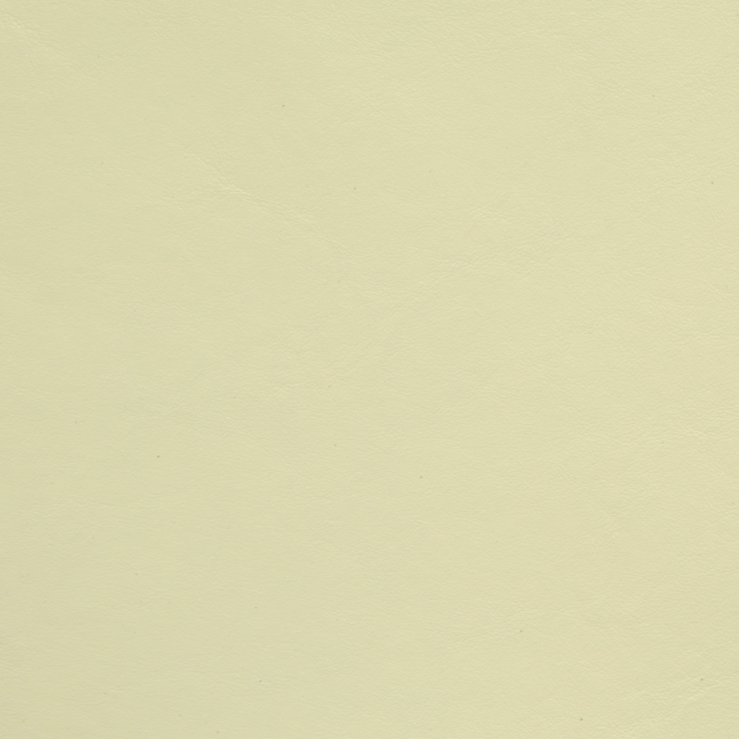 Amadeus Curry White